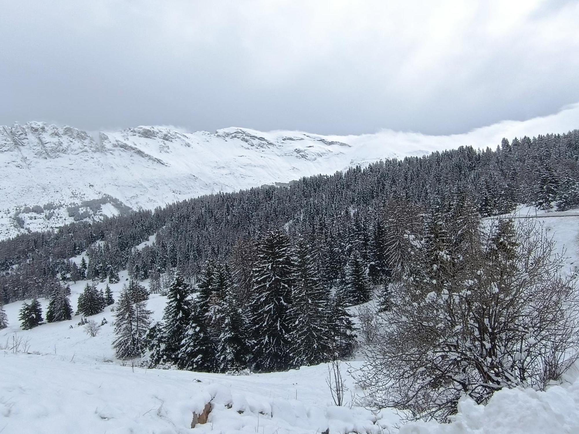 Appartement Cosy Dans Chalet Vue Montagne Saint-Étienne-en-Dévoluy المظهر الخارجي الصورة
